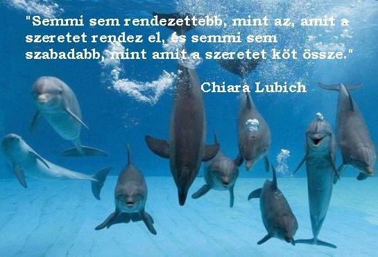 166007_292756300821327_519995318_n-545x371-2_1385284799.JPG_545x371