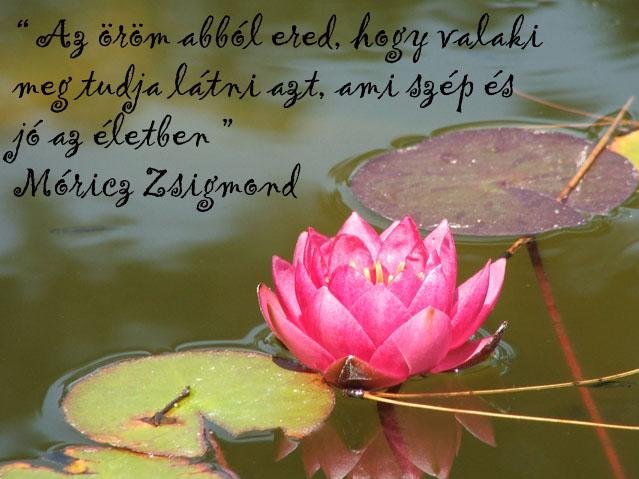 orom_1387816219.jpg_639x479