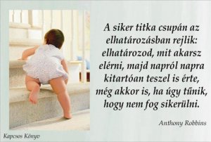 siker-511ab699e00702b04d01c46c_thumb_top-center_624x0-false