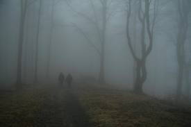 index-kod_1389179723.jpg_275x183