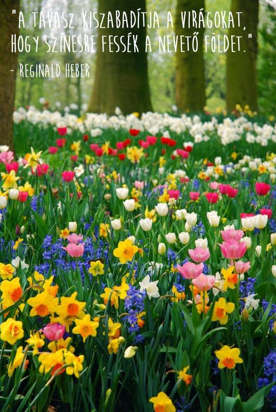 1911914_564318143676162_1476143676_n_1398445075.jpg_560x836