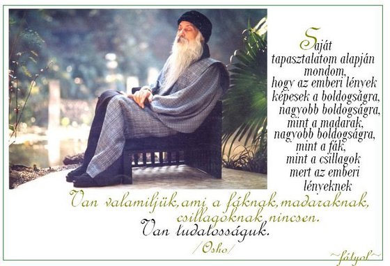 887377_a4313082a814b6f351c0c070dec1a6f4_m