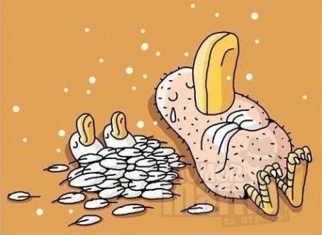 nwhp2qvet2v0qpzcej9hou4u