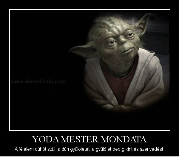 1312630360-993U_4-íyoda