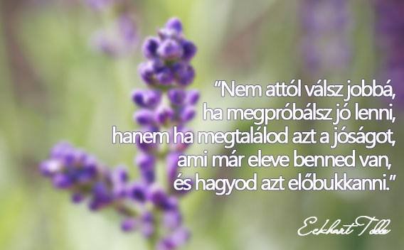 10849867_796243773765865_1460885639890380252_n