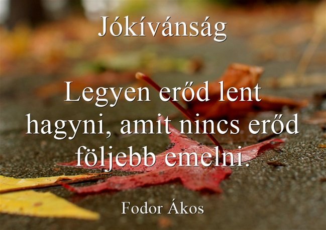 Jkvnsg-Legyen-erd-lent