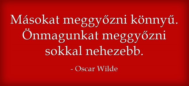 Msokat-meggyzni-knny